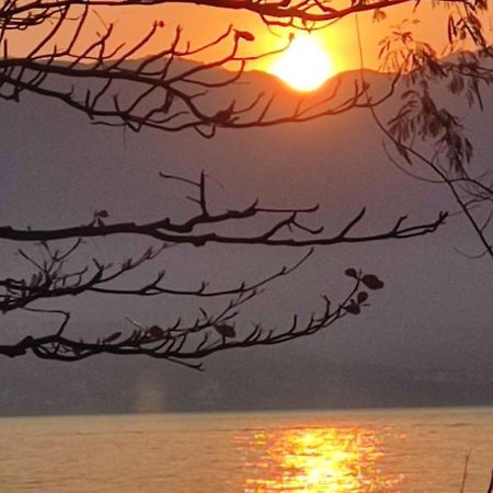 Recanto Toca Das Plantas De Ilhabela I المظهر الخارجي الصورة
