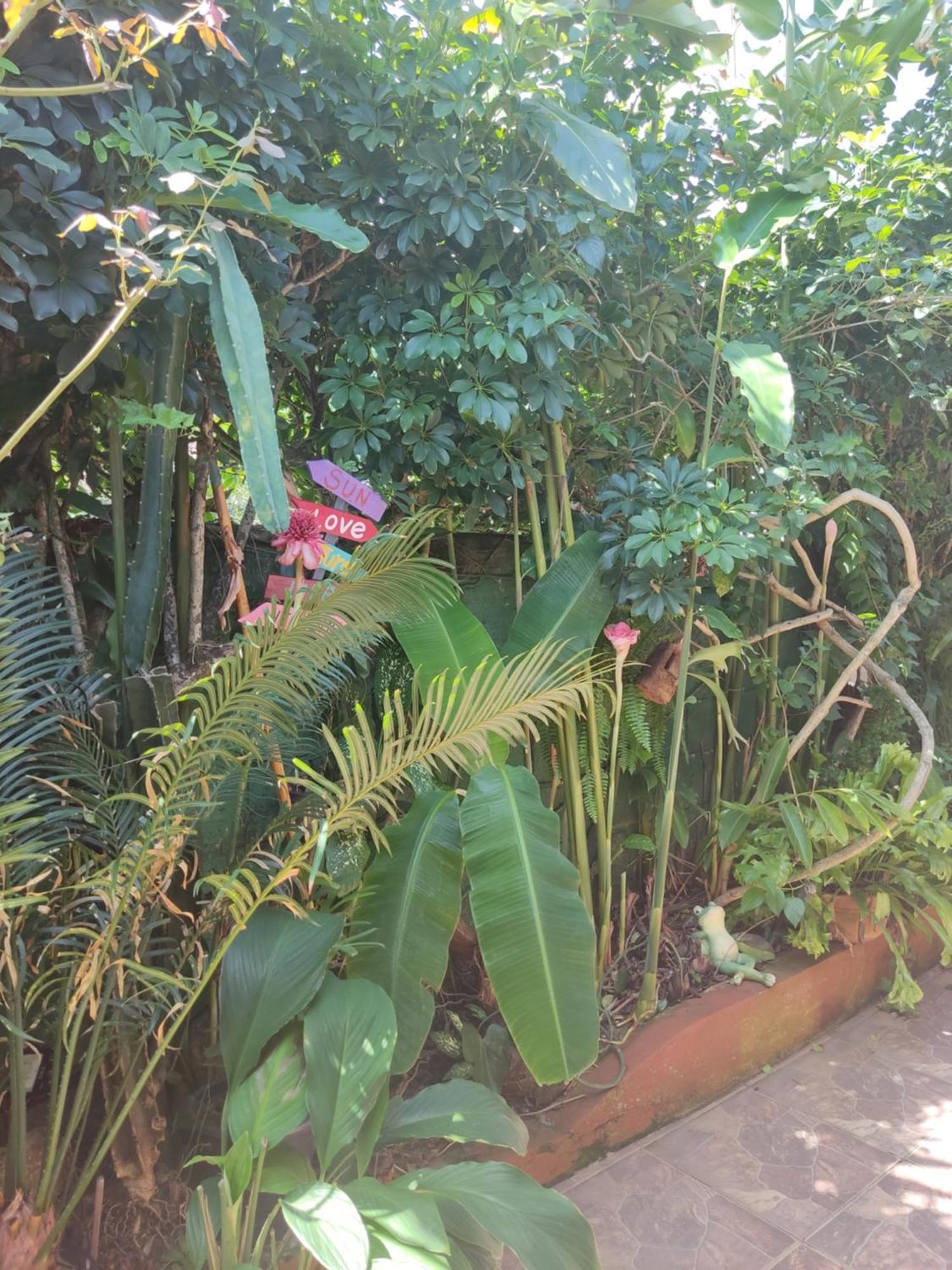 Recanto Toca Das Plantas De Ilhabela I الغرفة الصورة